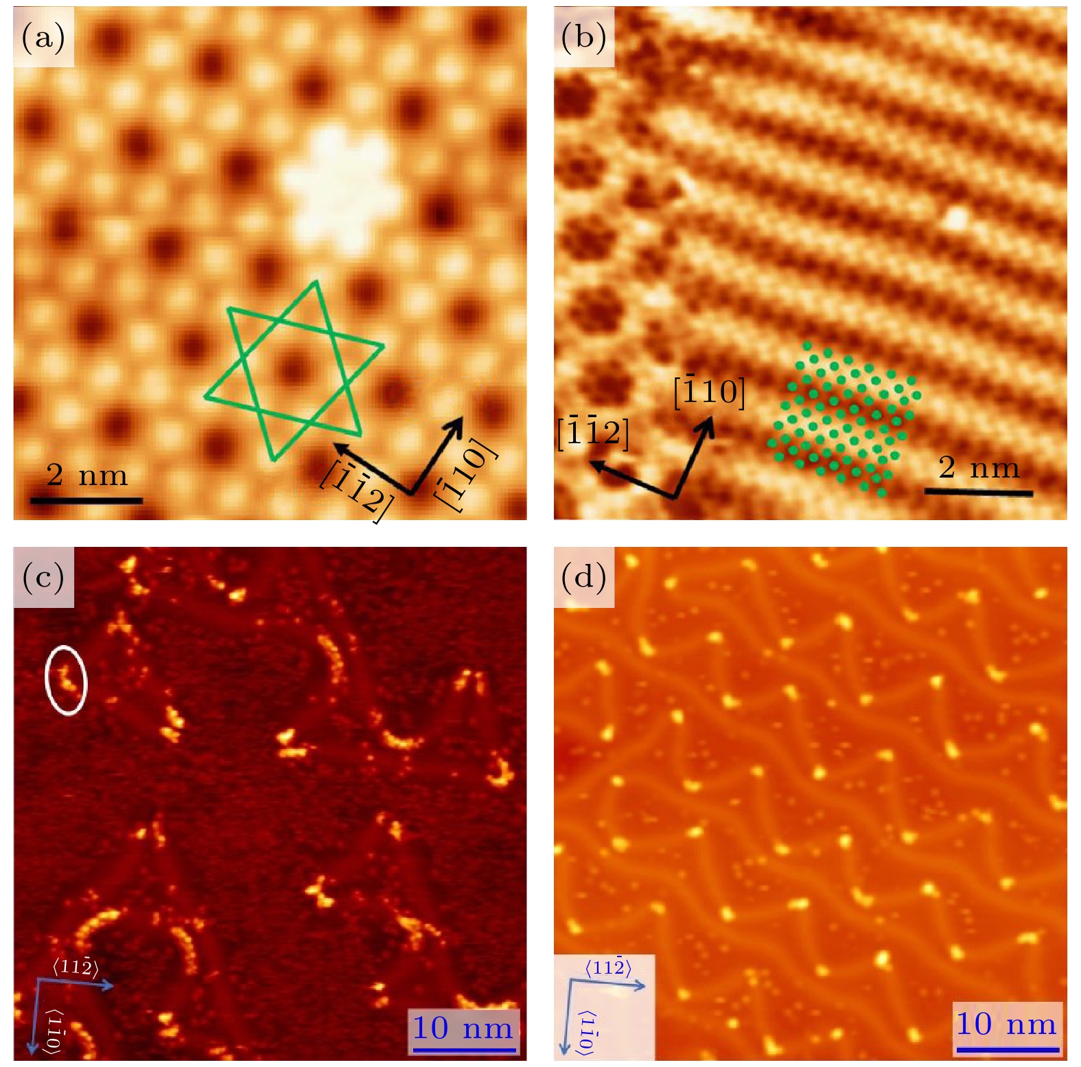Metal-substrate synthesis of two dimensional materials
