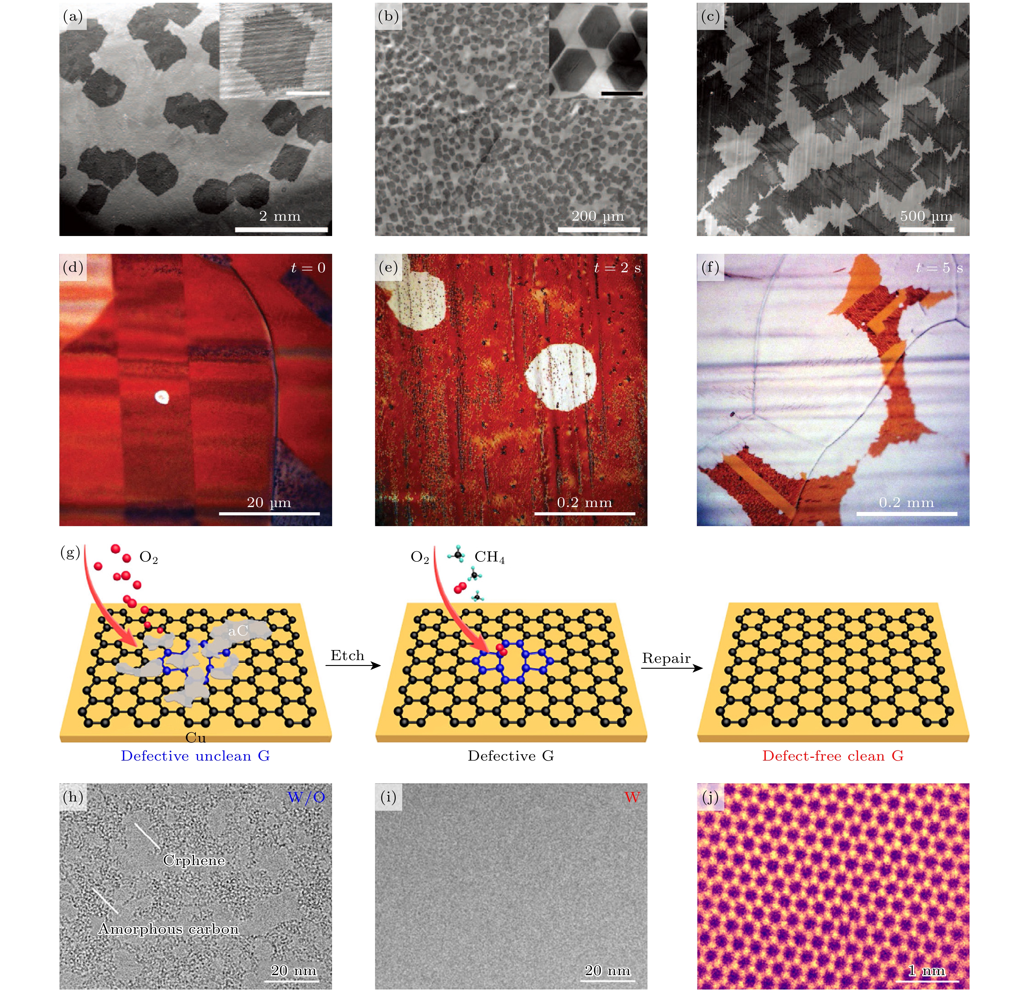 Metal-substrate synthesis of two dimensional materials
