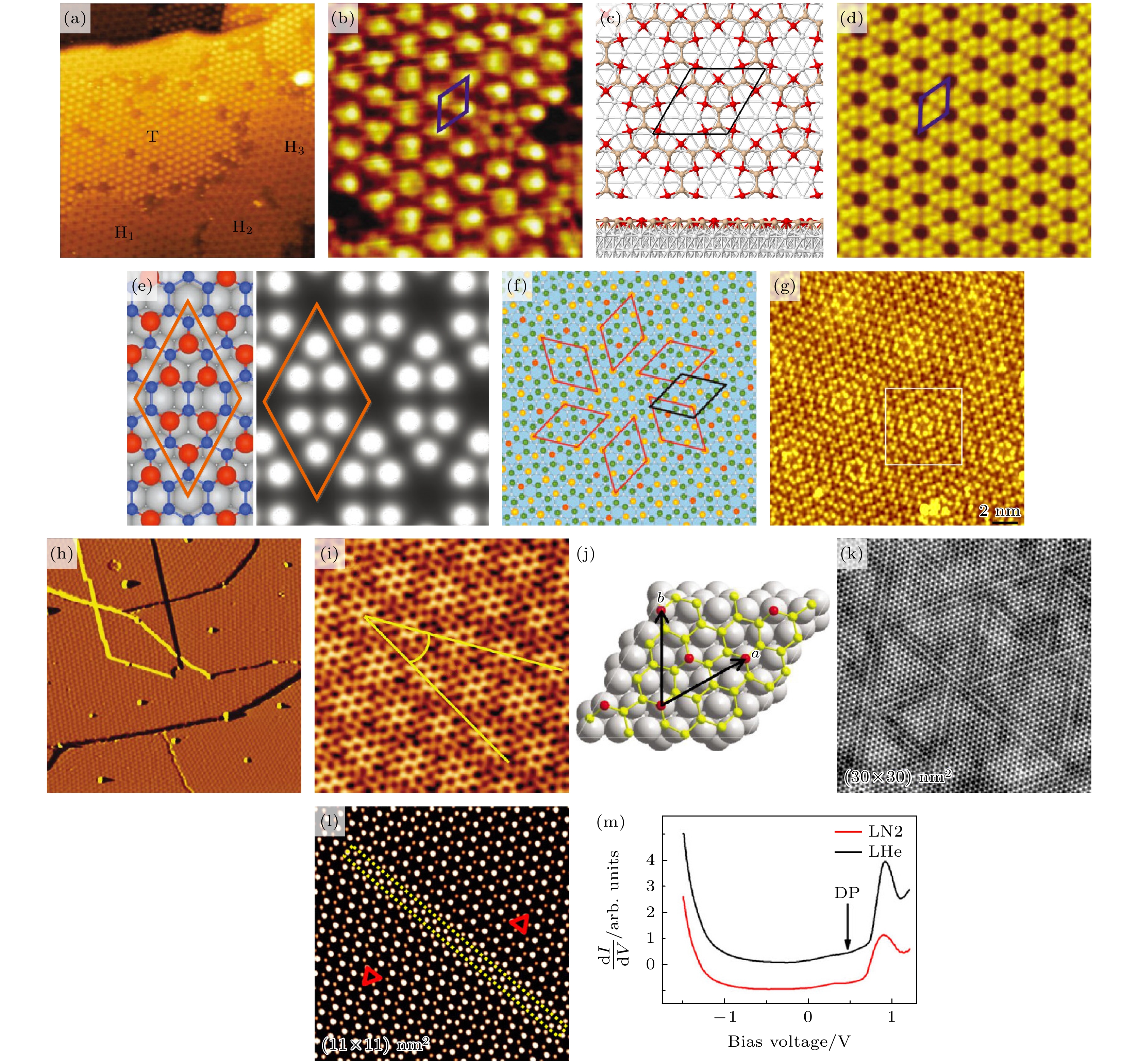 Metal-substrate synthesis of two dimensional materials