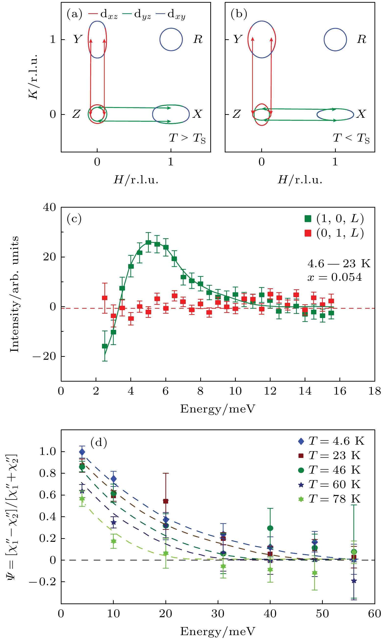 Nematic spin correlations and orbital-selective spin excitations