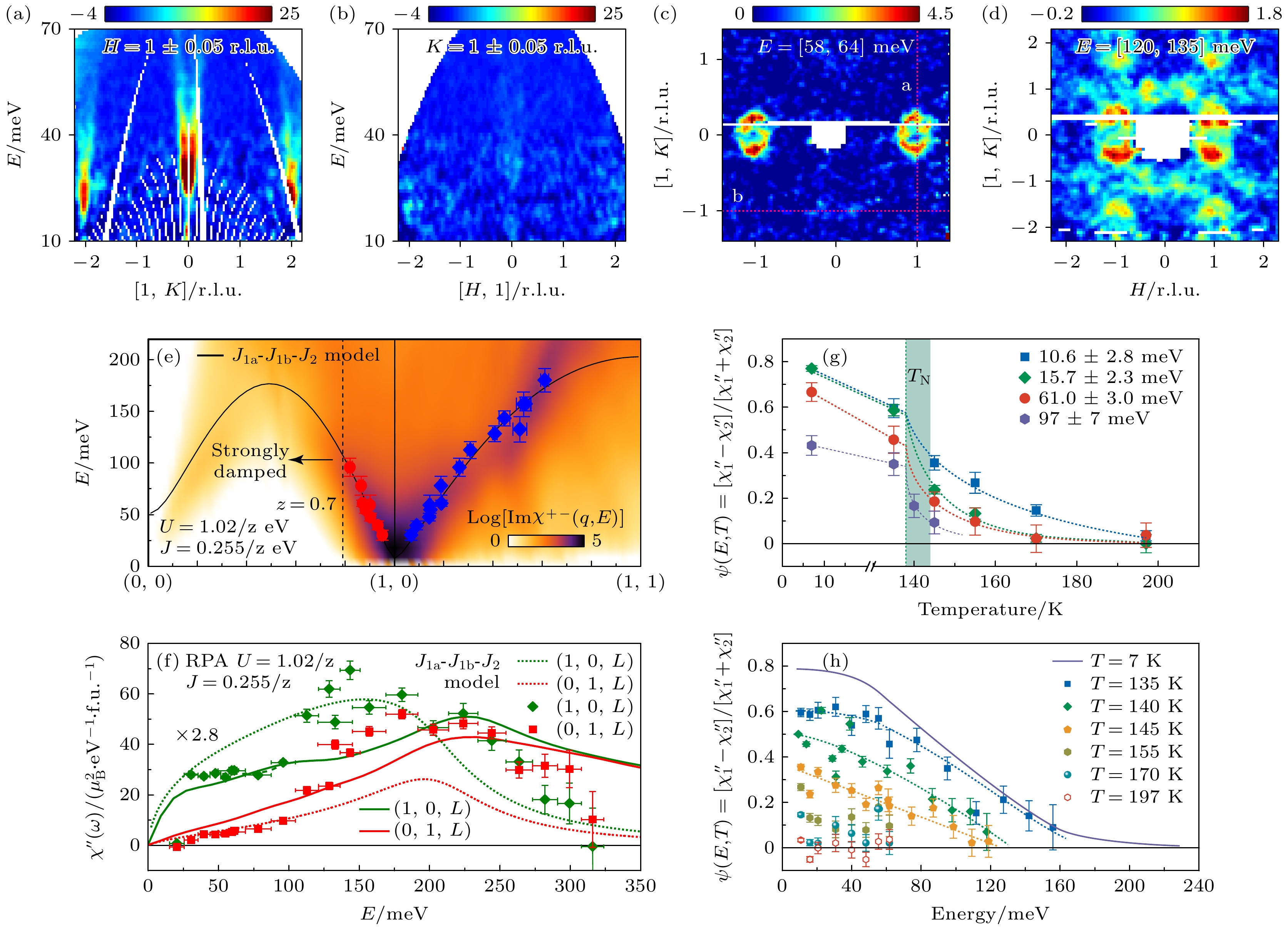 Nematic spin correlations and orbital-selective spin excitations