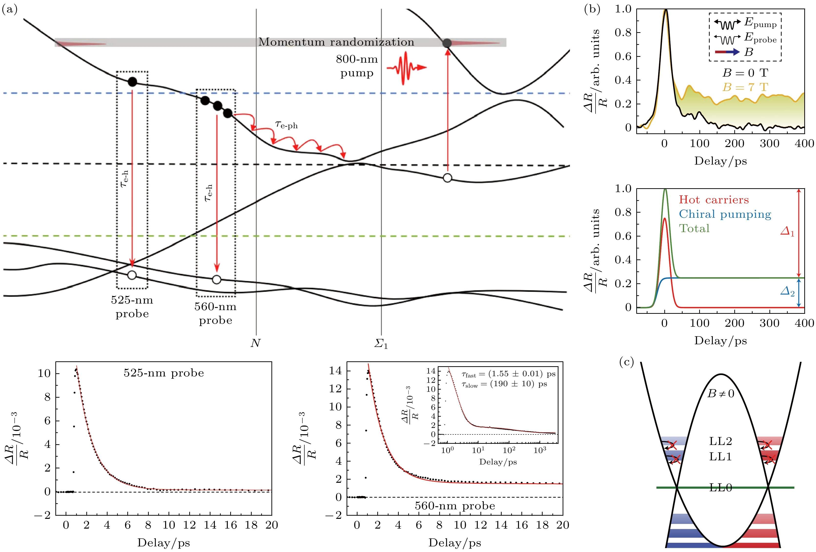 Research on topological materials using ultrafast spectroscopy
