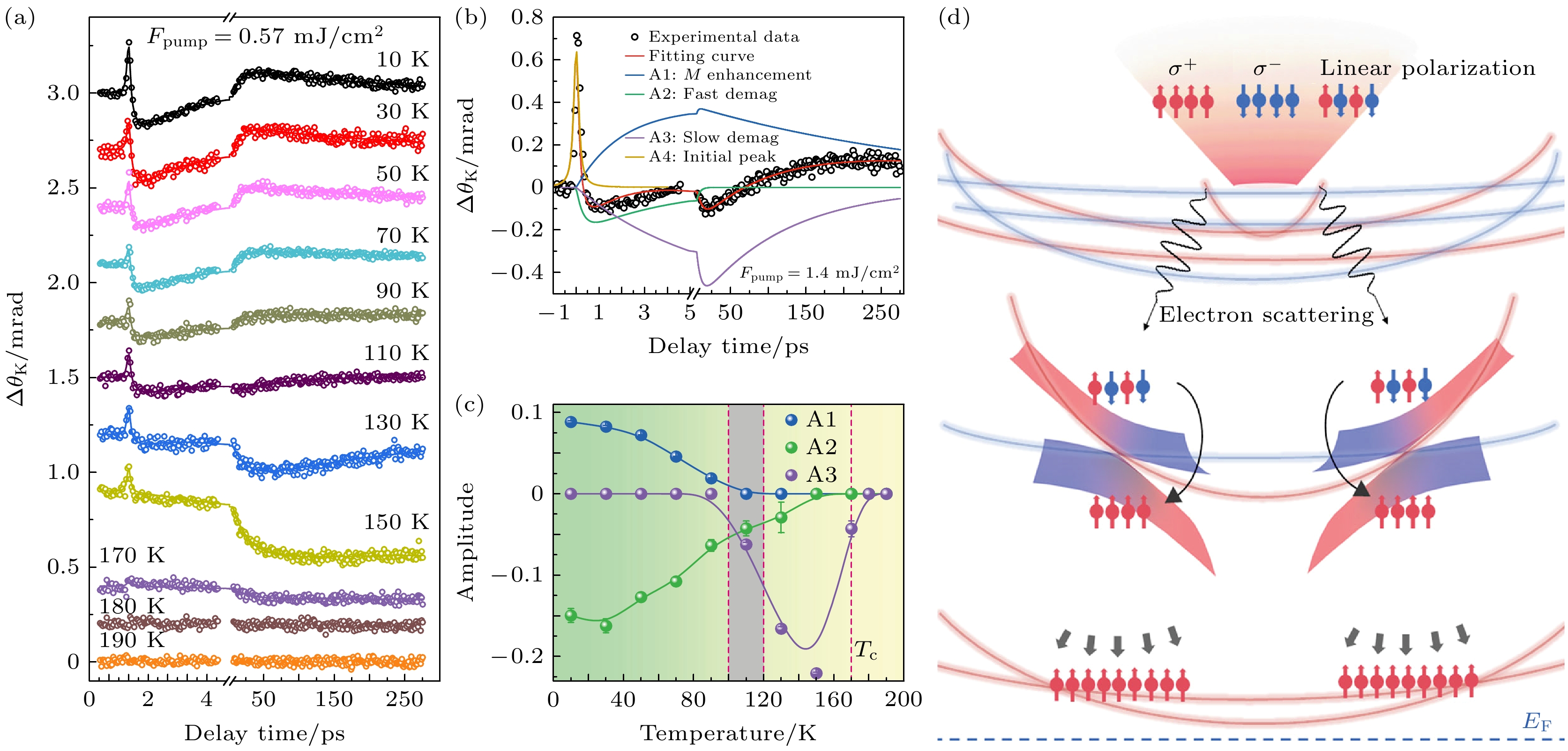 Research on topological materials using ultrafast spectroscopy