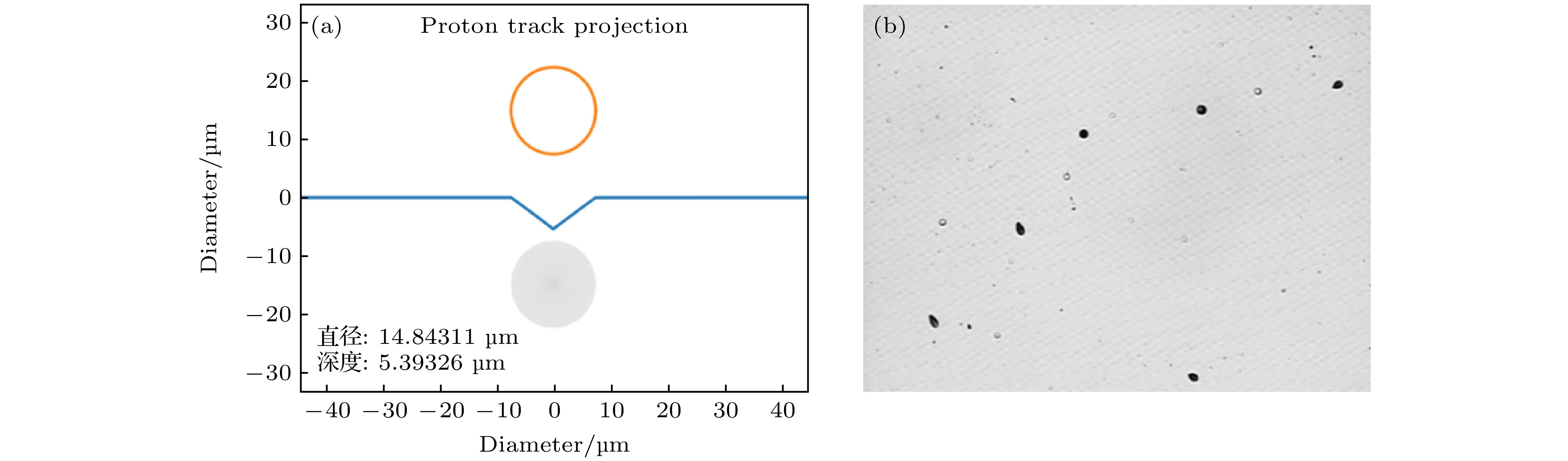 Measurement of nuclear reaction data in a laser-driven plasma